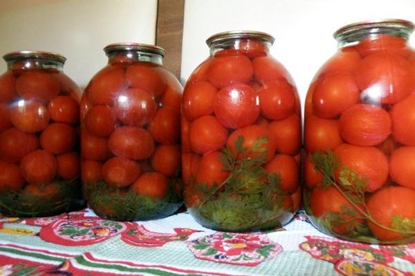 tomates avec fanes de carottes en bocaux