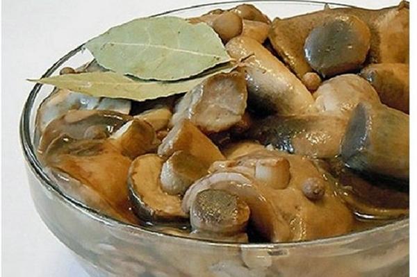 เห็ดแอสเพนในชาม