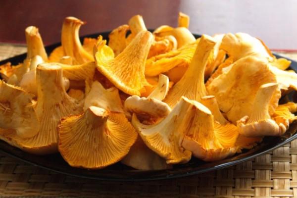 เห็ดแคนทาเรลบนจาน