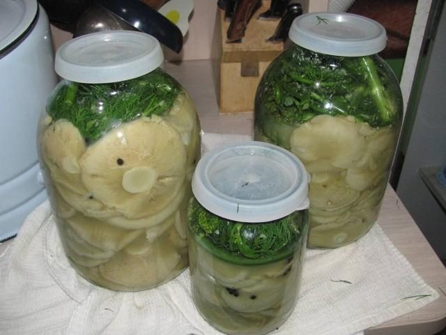 เห็ดนมเค็ม