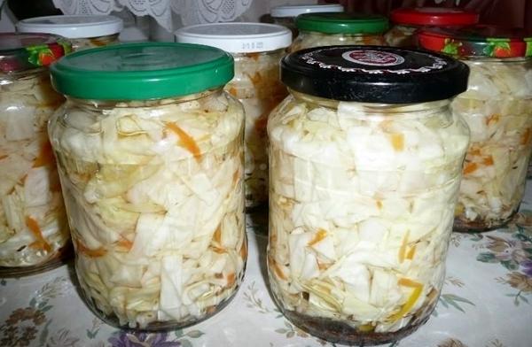 กะหล่ำปลีในขวดโหล