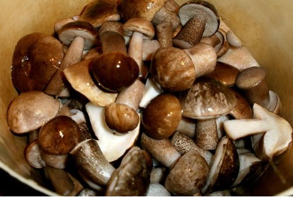 การเตรียมเห็ดแอสเพน