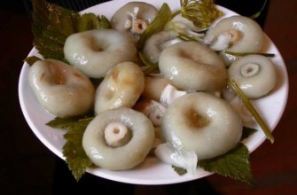 เห็ดนมดองบนจาน