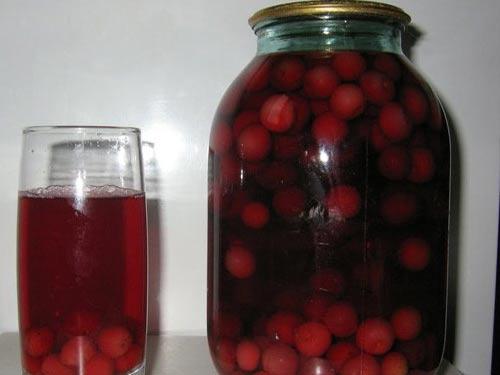 คอมโพทซูกินี่