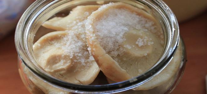 เห็ดนมเค็ม