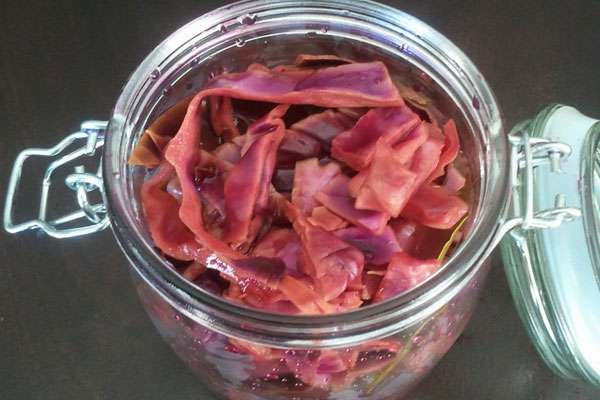 กะหล่ำปลีแดงในขวด