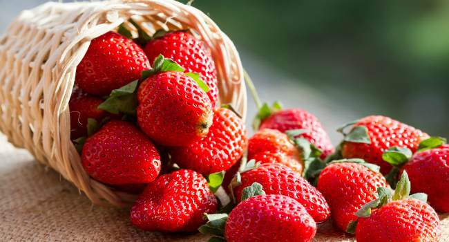 สตรอเบอร์รี่สด