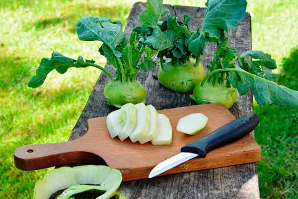 กะหล่ำปลีสับ