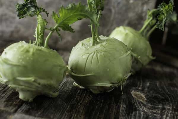 กะหล่ำปลี