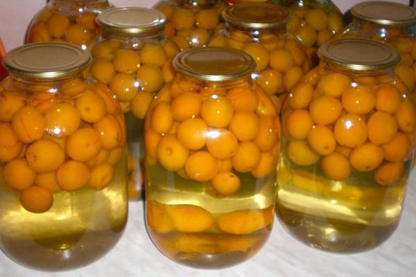 compote d'abricots avec noyaux