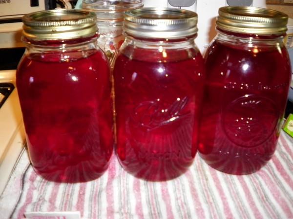 บลูเบอร์รี่คอมโพท