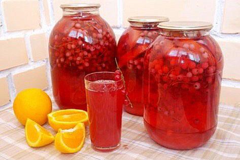 คอมโพทเชอร์รี่นกแดง