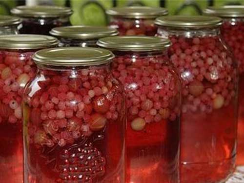 คอมโพทโช้กเบอร์รี่