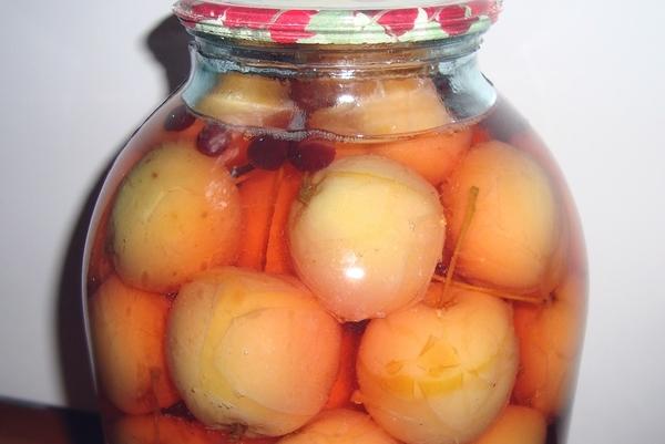 ราเนตกิในขวด