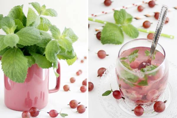 คอมโพทลูกเกด