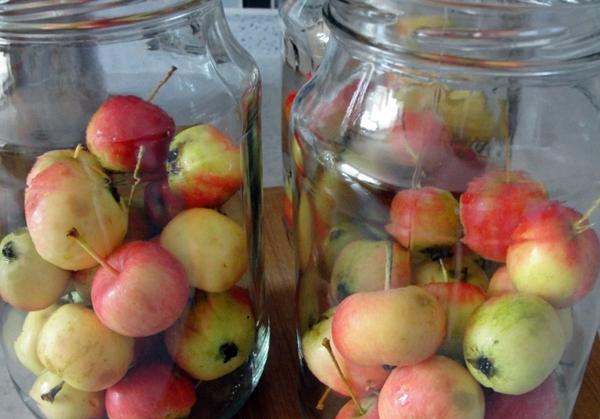 ราเนตกิในขวด