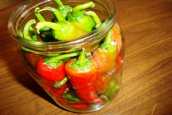 พริกขี้หนูในขวด