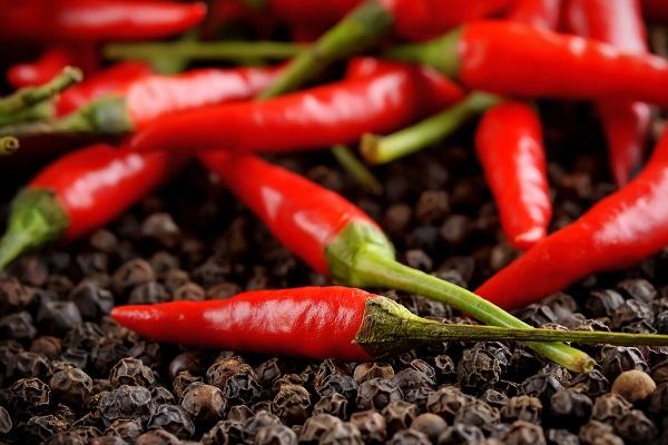 พริกขี้หนู