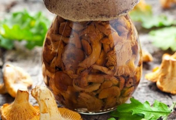 chanterelles marinées en bocal