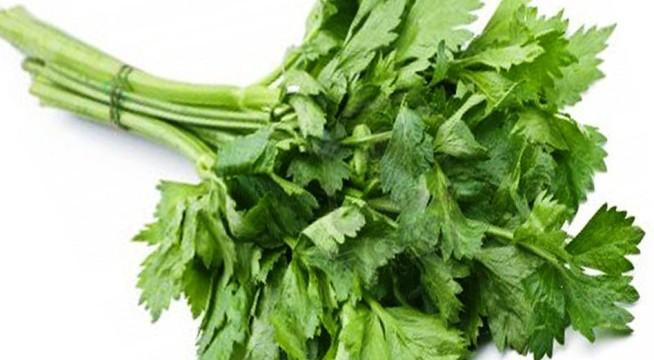 ใบขึ้นฉ่าย