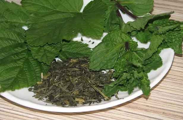 ใบไม้ที่แตกต่างกัน