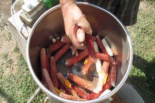 การทำความสะอาดข้าวโพด