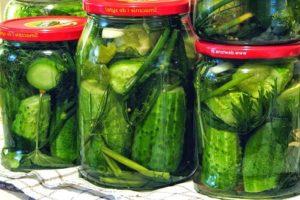 สูตรทำแตงกวาเค็มเล็กน้อยกับน้ำแร่สำหรับฤดูหนาวแบบด่วน