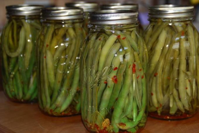 ตูร์ชาสำหรับฤดูหนาว