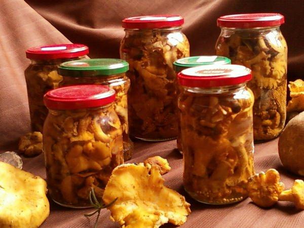girolles à la moutarde en bocaux