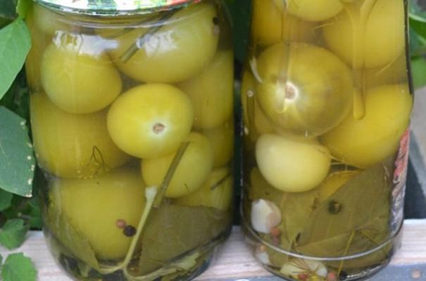 ฟิซาลิสกับดอกคาร์เนชั่น