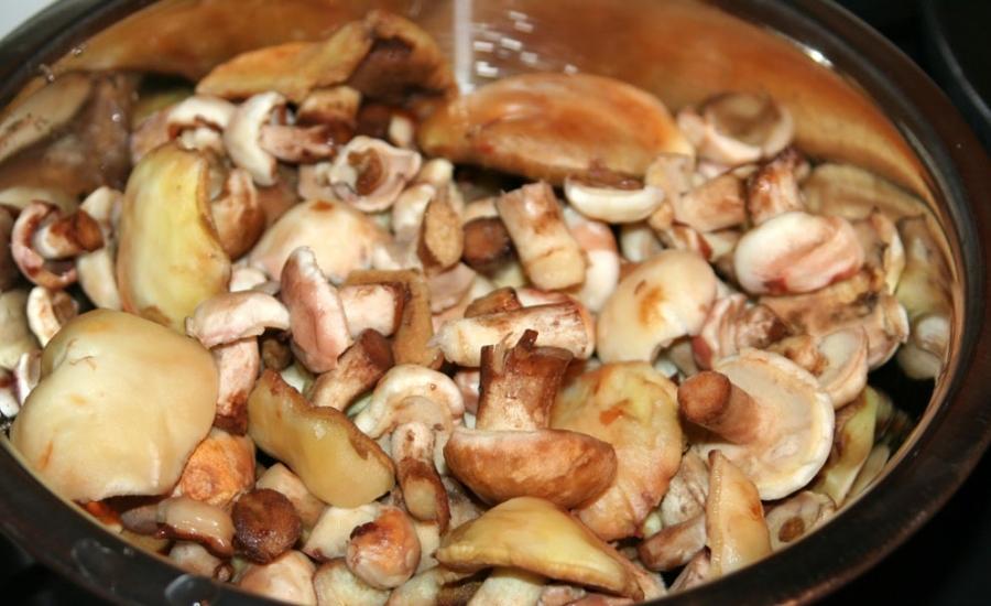 เห็ดเนย