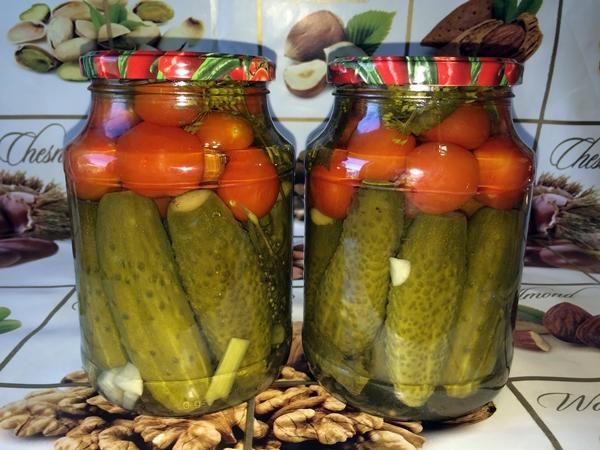 แตงกวาและมะเขือเทศกำลังอยู่ในช่วงวันหยุดในบัลแกเรีย