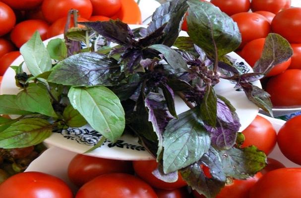 โหระพาและมะเขือเทศ