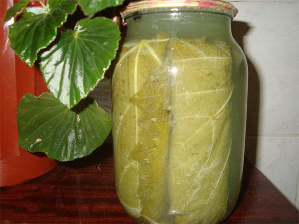 แตงกวาดองในใบองุ่น