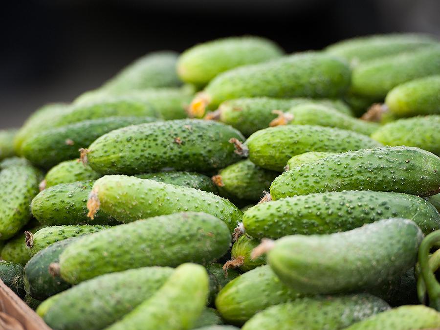 แตงกวาสด