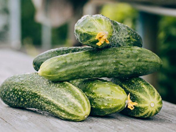 แตงกวาบนโต๊ะ