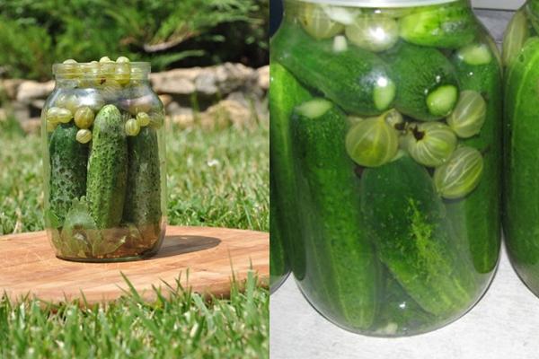 แตงกวากับลูกเกดในขวดโหล