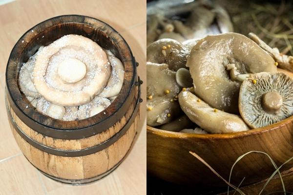 champignons de lait dans un tonneau