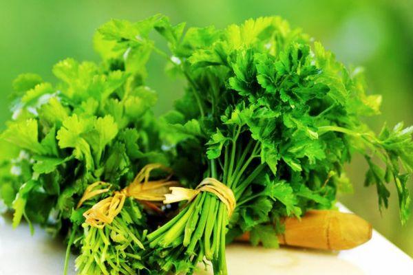 Un bouquet de persil