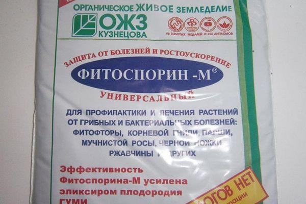 Le médicament Fitosporin