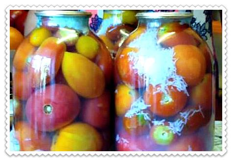 Tomates sous la neige avec de l'ail pour l'hiver