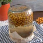 คอมโพทซีบัคธอร์นในขวด