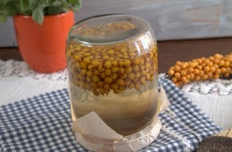 คอมโพทซีบัคธอร์นในขวด