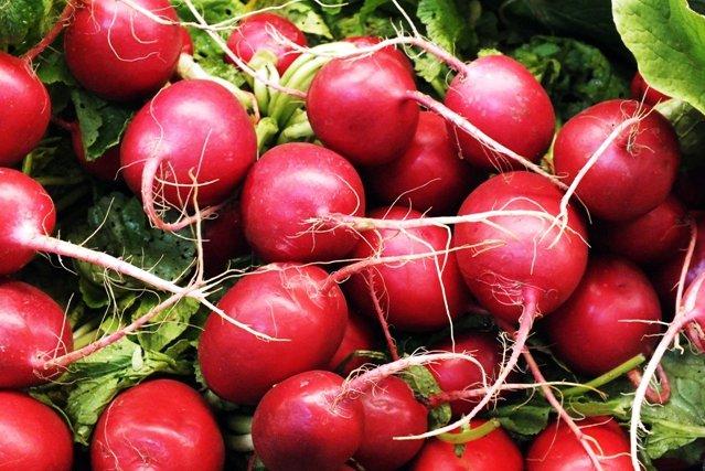 หัวไชเท้าสด