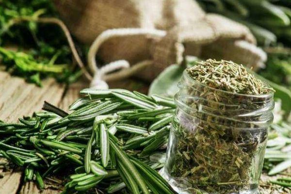 โรสแมรี่แห้ง