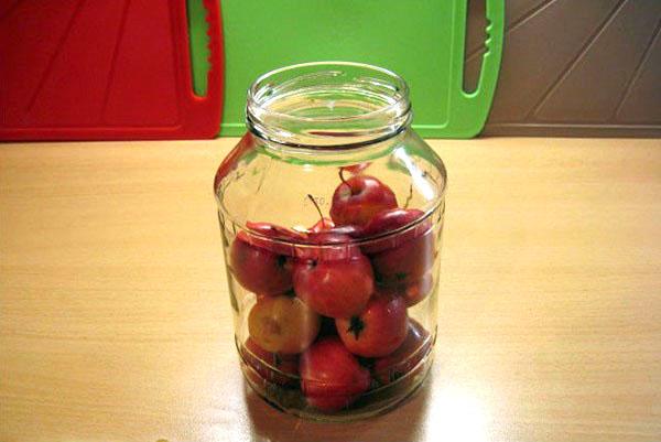 ราเนตกิในขวดโหล