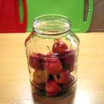 กระบวนการถนอมอาหารแอปเปิลป่า