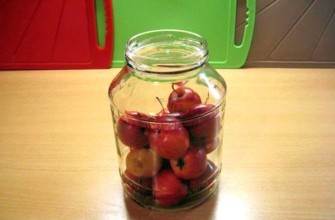 กระบวนการถนอมอาหารแอปเปิลป่า