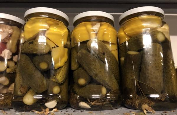 สควอชกับแตงกวาในขวด