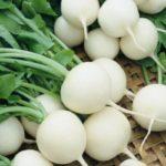 หัวไชเท้าสด